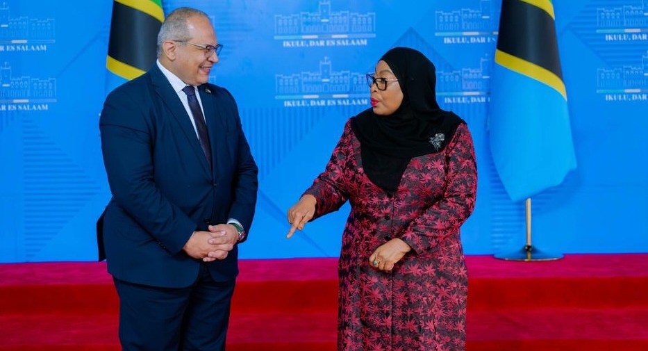 TZ, Egypt to cement ties