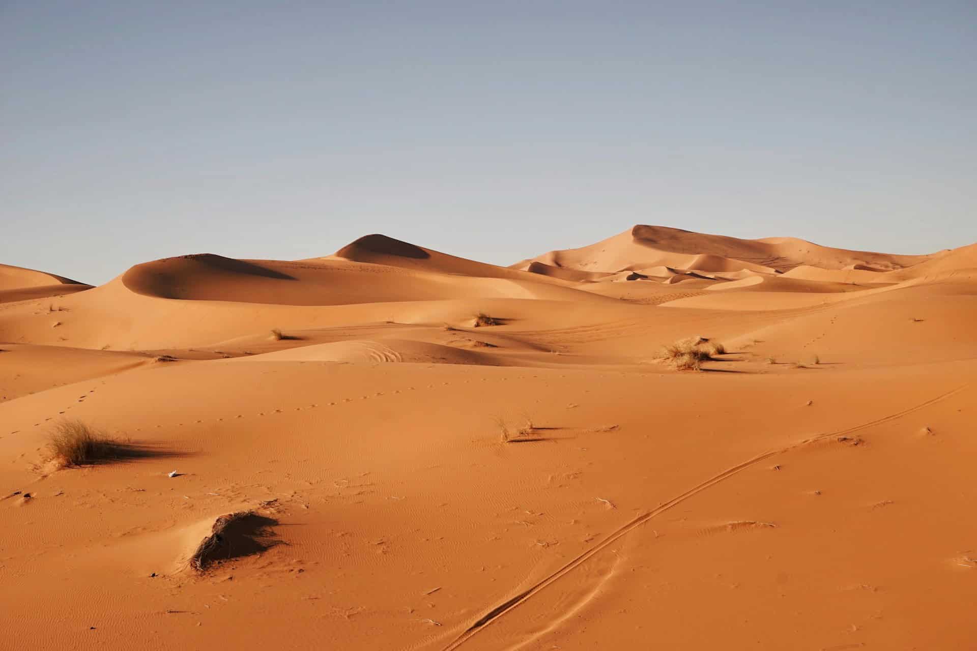 A &lsquo;Shark Graveyard&rsquo; in Egypt&rsquo;s Desert Reveals a Lost Cretaceous Sea